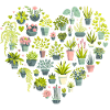 Cœur de plante