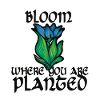 Bloom where you are planted