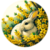 Hasenkaninchen Forsythien