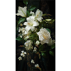 White Lilies Renaissance Design