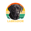 Labrador