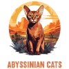 Abyssinian Cat Abessinierkatze