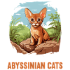 Chat abyssin Abessinierkatze