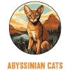 Abyssinian Cat Abessinierkatze