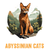 Abyssinian Cat Abessinierkatze