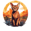 Abyssinian Cat Abessinierkatze