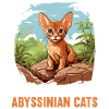 Abyssinian Cat Abessinierkatze