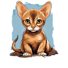 Abyssinian Cat Abessinierkatze