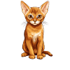 Abyssinian Cat Abessinierkatze