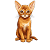 Abyssinian Cat Abessinierkatze