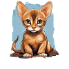 Abyssinian Cat Abessinierkatze