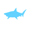 Shark Arm Amputation