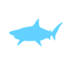 Hand Amputee Shark Story