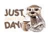 Otter Lustig Geschenk