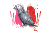 African Grey Parrot Gift