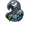 African Grey Parrot Gift