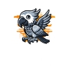 African Grey Parrot Gift