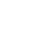 1955