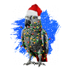 African Grey Parrot Gift