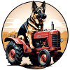 Deutscher Schäferhund fährt einen Oldtimer-Ackerschlepper