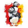 Gift for Atlantic Puffins