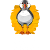 Puffin Bird Gift