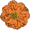Fleur cadeau