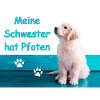 Labradorwelpe