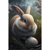 Hare