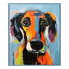 A sweet, lovable dog