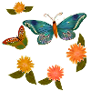 Butterflies and flowers