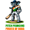 India cricket elephant design