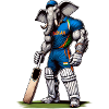 India cricket sport elephant design