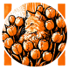 Chat orange aux tulipes