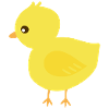 Chick