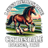 Clydesdale Horse