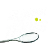Ma passion c'est le tennis
