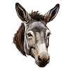 Donkey's Head