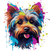 Funny Yorkshire Terrier