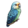Parakeet
