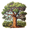 Oak