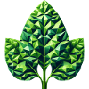 Épinards géométriques splendeur feuille verte