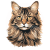Chat Chats American Bobtail