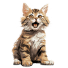 Cat Cats American Bobtail
