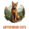 Abyssinian Cat Abessinierkatze