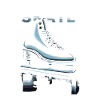 Ice Skating Ice Skaters