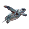 Geometrische Schildkröte Muster