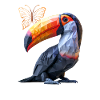Toucan
