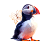 Puffin