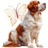 Clumber Spaniel